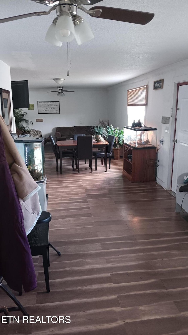 living room featuring dark hardwood / wood-style flooring and a textured ceiling