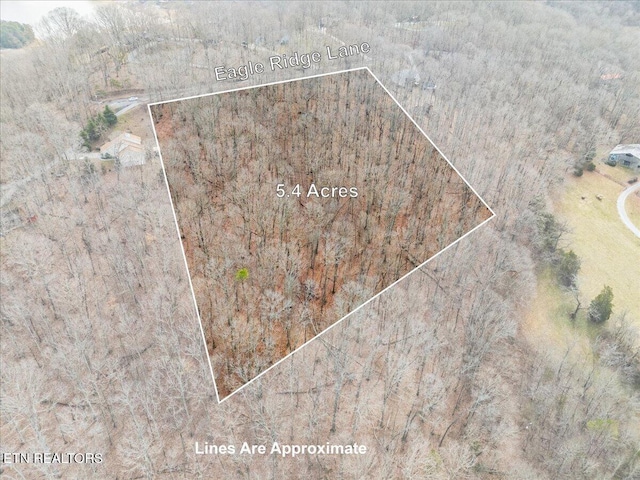 Eagle Ridge Ln, Jefferson City TN, 37760 land for sale