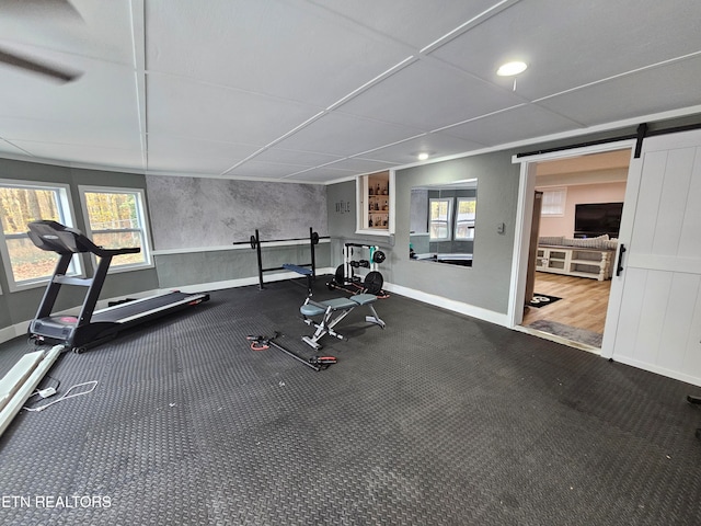 workout room with hardwood / wood-style floors, a barn door, and a healthy amount of sunlight