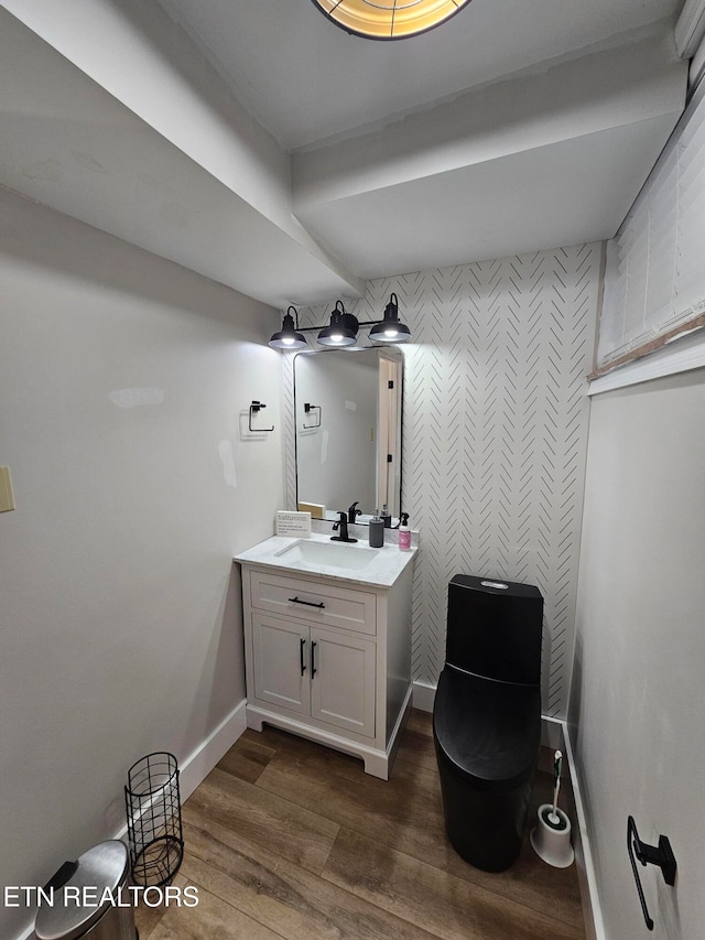 bathroom with hardwood / wood-style floors and vanity