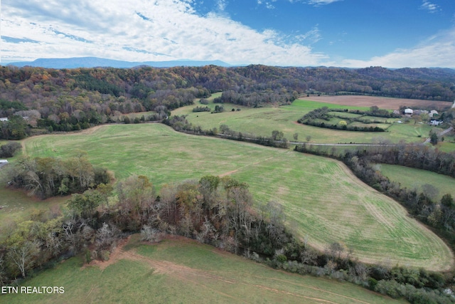 bird's eye view featuring a mountain view and a rural view