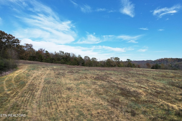 view of nature with a rural view