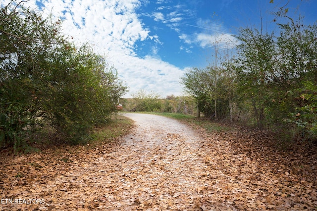 view of road