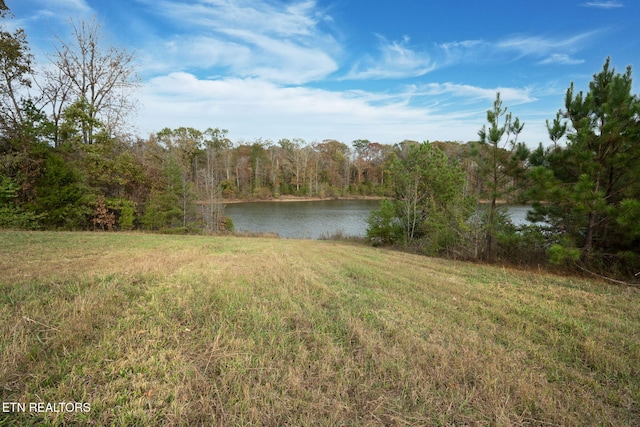 view of yard with a water view