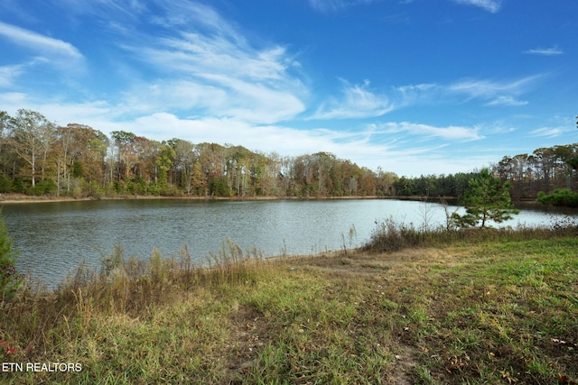 property view of water