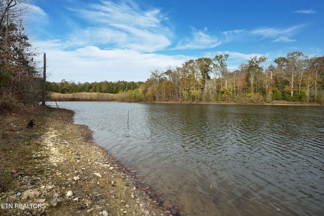 property view of water