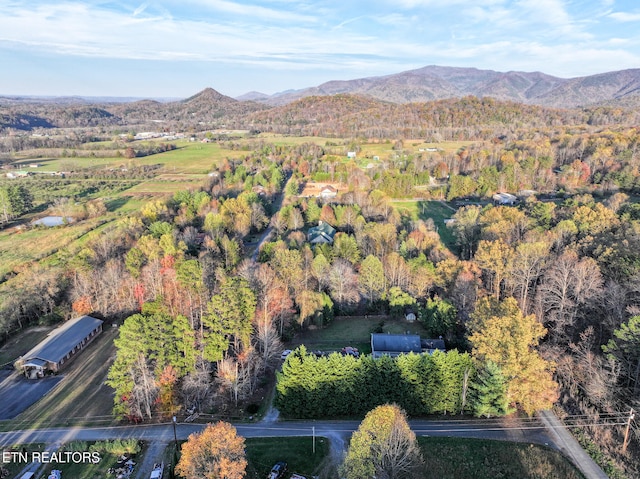 drone / aerial view featuring a mountain view