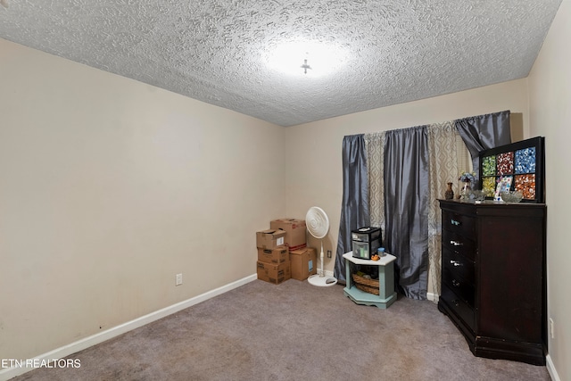 misc room featuring carpet and a textured ceiling