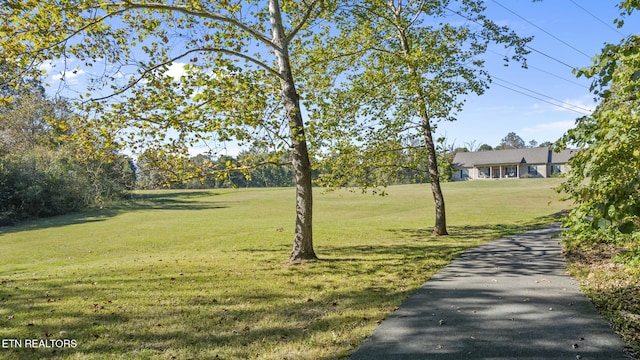 view of community featuring a yard