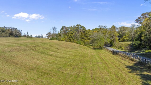 view of yard featuring a rural view