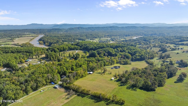 bird's eye view featuring a mountain view