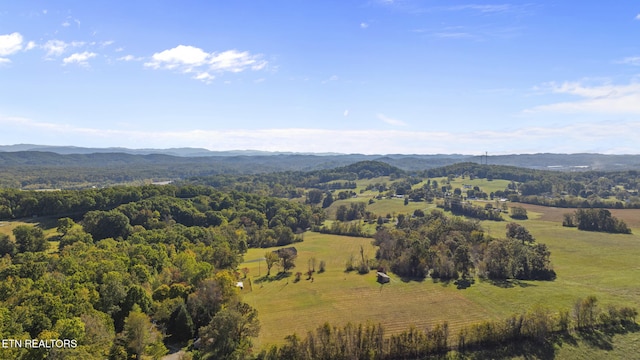 drone / aerial view featuring a mountain view