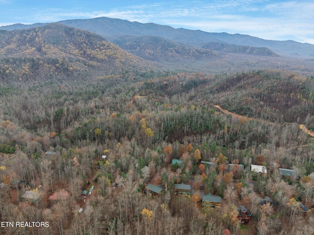 view of mountain feature