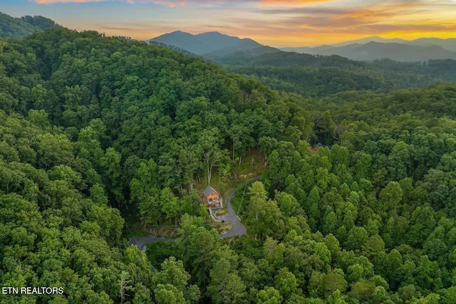 aerial view at dusk with a mountain view