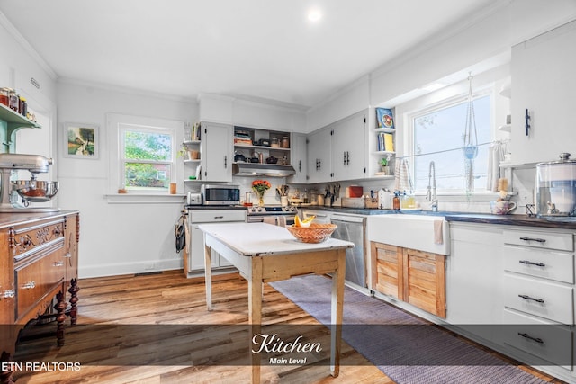 kitchen featuring ornamental molding, stainless steel appliances, white cabinetry, and light hardwood / wood-style floors