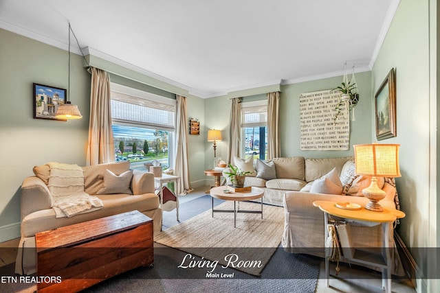 living room featuring a wealth of natural light and ornamental molding