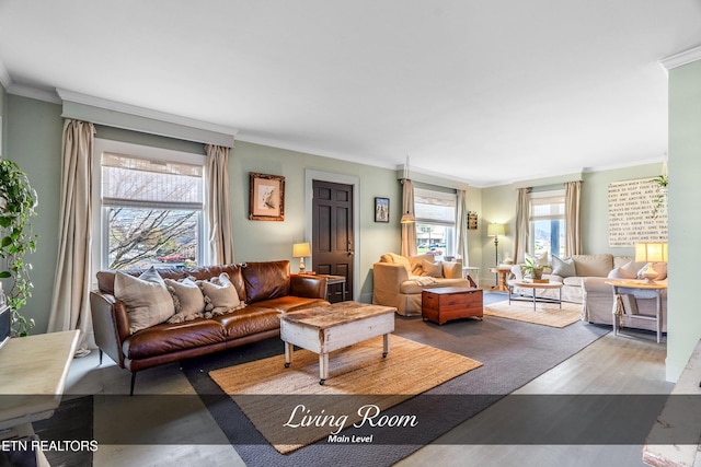 living room with ornamental molding