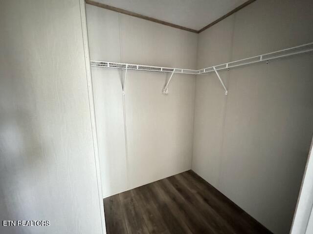 spacious closet featuring dark wood-type flooring