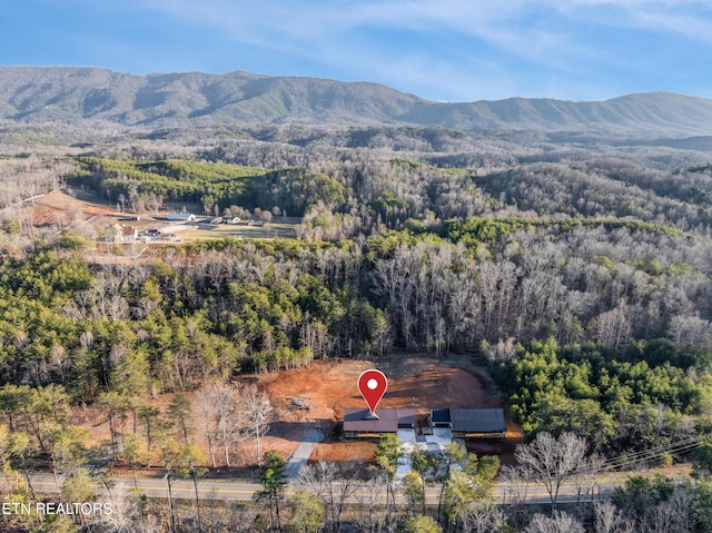 bird's eye view with a mountain view