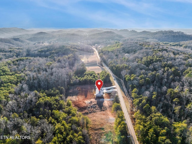 bird's eye view featuring a mountain view