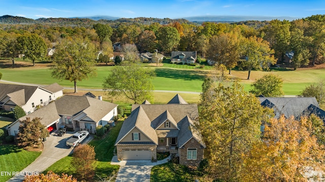 bird's eye view