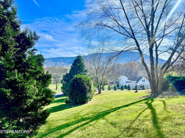 exterior space with a mountain view and a yard