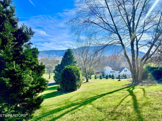 2930 Will Bryan Ln, Sevierville, TN 37862 - photo 54