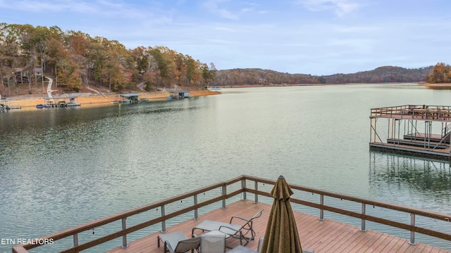 dock area with a water view