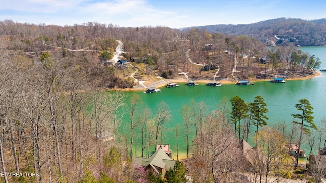 aerial view with a water view and a forest view