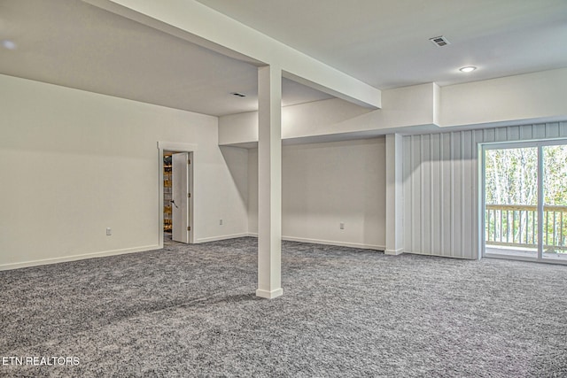 basement featuring carpet