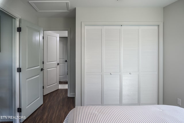 bedroom with a closet and dark hardwood / wood-style floors