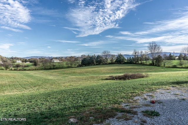 view of yard with a rural view