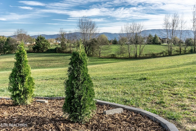 view of yard featuring a mountain view and a rural view