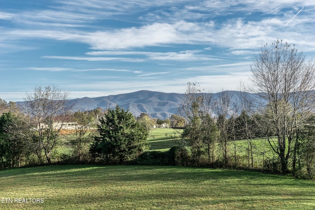 view of mountain feature