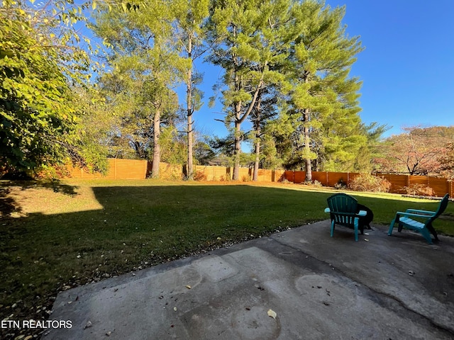 view of yard with a patio area and a fenced backyard