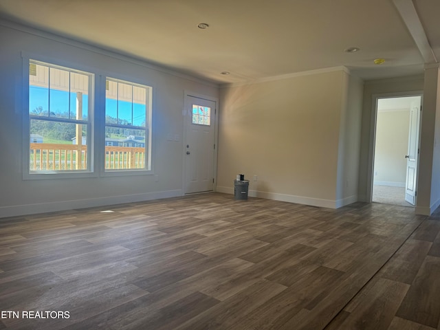 entryway with crown molding and dark wood-type flooring