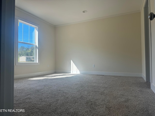 carpeted empty room with ornamental molding