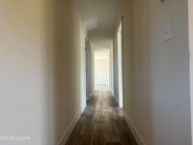 corridor featuring dark wood-type flooring