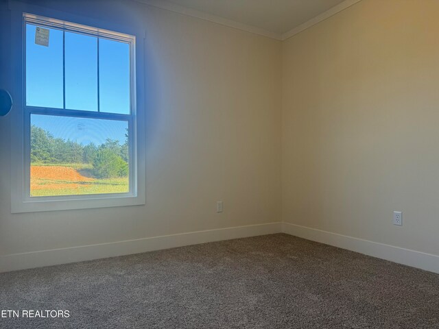 carpeted empty room featuring crown molding