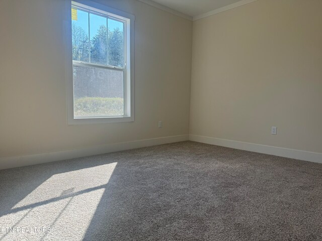 spare room with carpet floors and crown molding