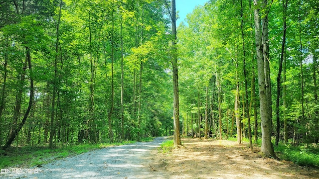 view of road