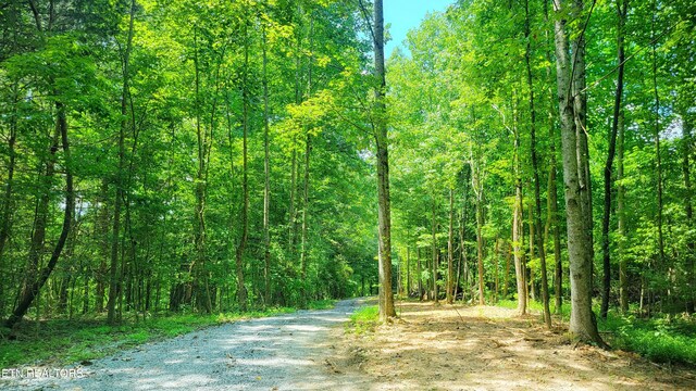 1312 Sweetwater Rd, Newport, TN 37821 - view of street featuring a wooded view