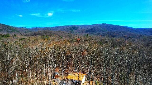 1312 Sweetwater Rd, Newport, TN 37821 - view of mountain backdrop