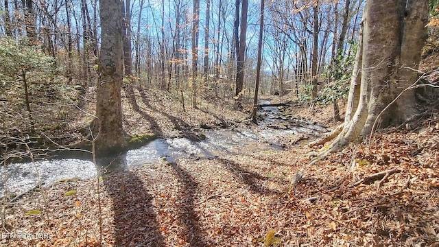 1312 Sweetwater Rd, Newport, TN 37821 - view of local wilderness