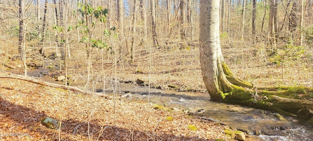 1312 Sweetwater Rd, Newport, TN 37821 - view of undeveloped land