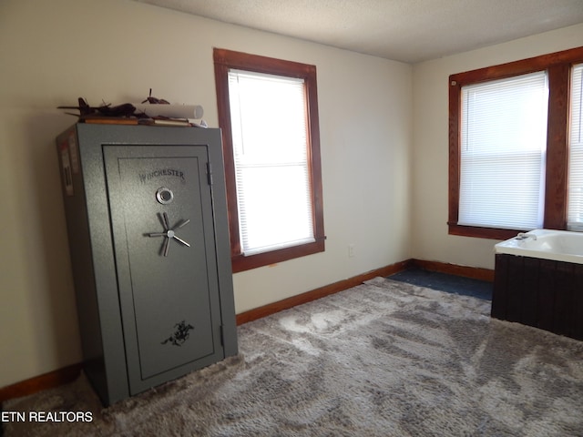 interior space with a textured ceiling and carpet floors