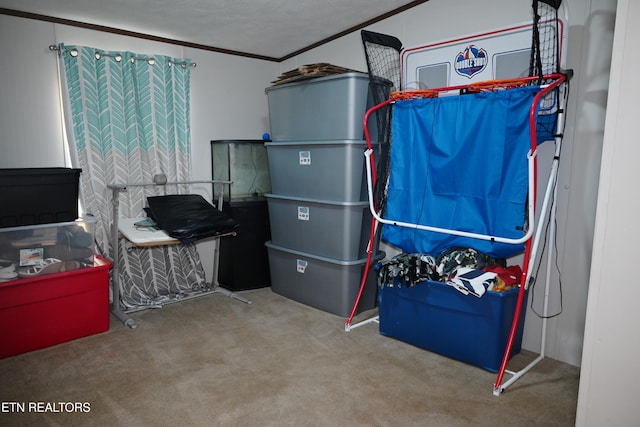 593 Cane Creek Mountain Rd, Tellico Plains, TN 37385 - view of storage room