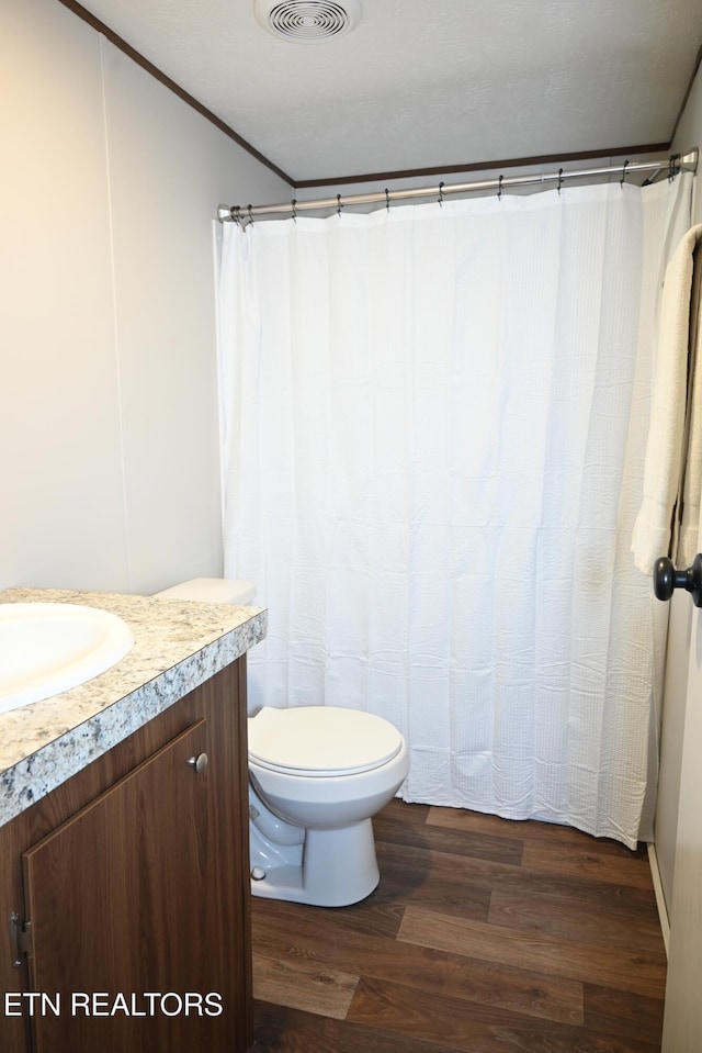 593 Cane Creek Mountain Rd, Tellico Plains, TN 37385 - bathroom with wood finished floors, vanity, toilet, and a shower with shower curtain