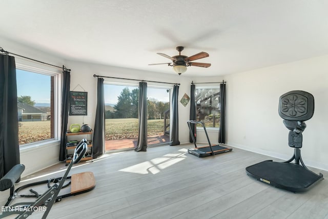 exercise area with ceiling fan, plenty of natural light, and light hardwood / wood-style flooring