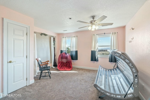 living area featuring a textured ceiling, plenty of natural light, and light carpet